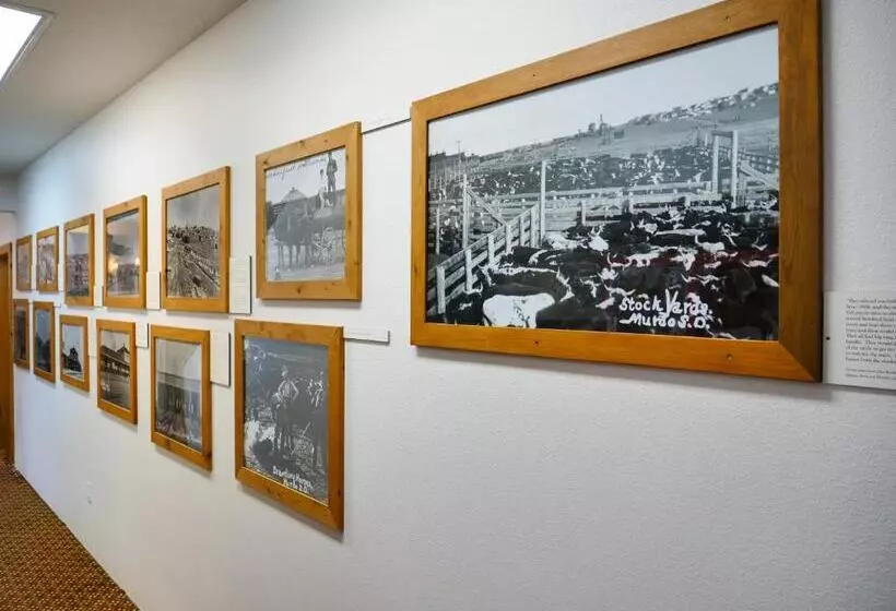 酒店 Range Country Lodging