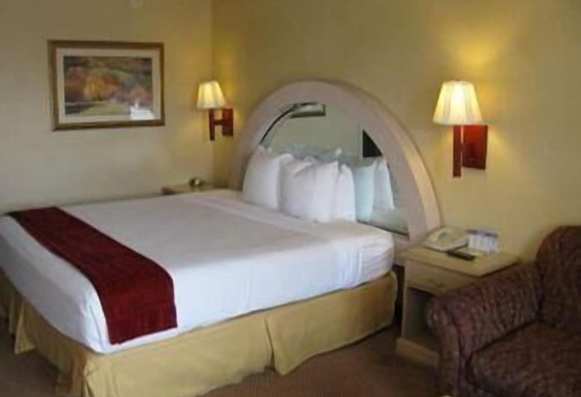 酒店 Super 8 By Wyndham Sumter