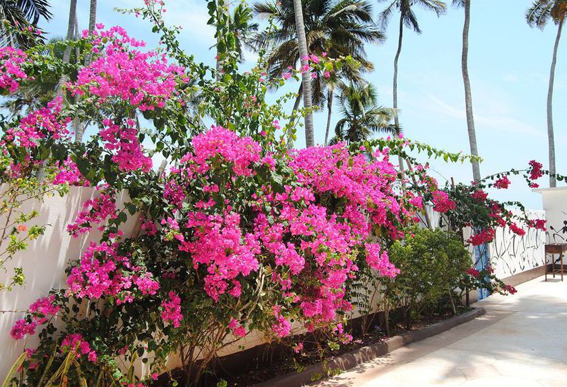 فندق Blu Marlin Village