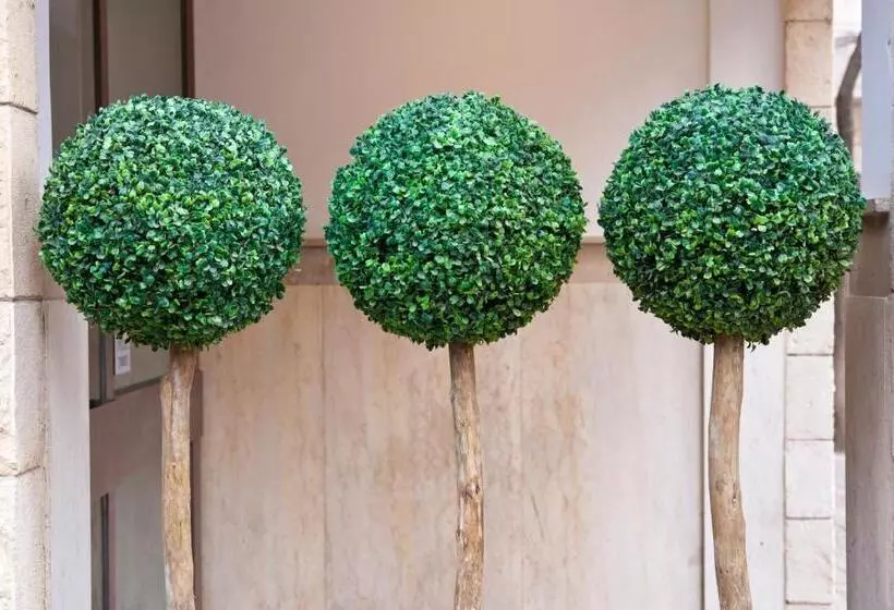 Jerusalem Inn By Smart Hotels