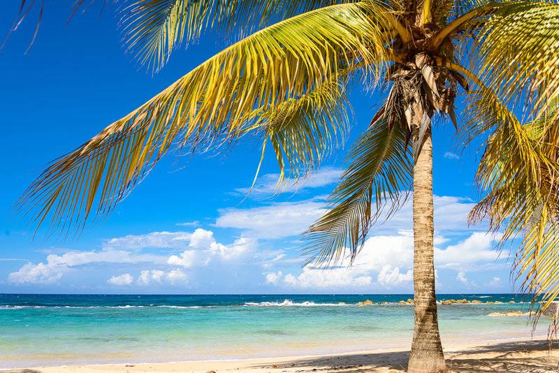 هتل Melia Braco Village, Jamaica All Inclusive