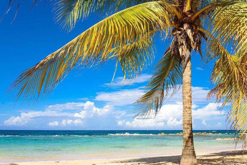 هتل Melia Braco Village, Jamaica All Inclusive