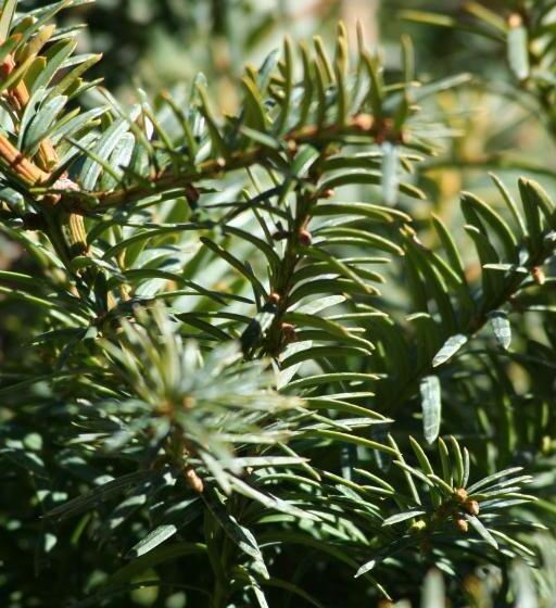 Maaseutuhotelli Antiguo Palacio De Atienza