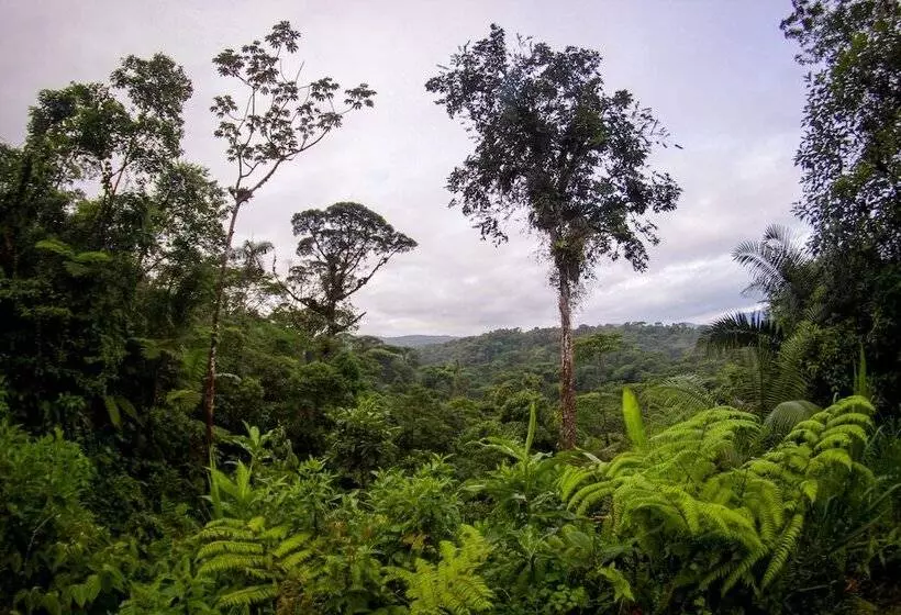 호텔 Tapirus Lodge