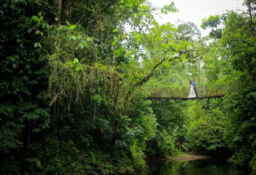 호텔 Tapirus Lodge