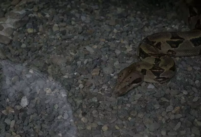 호텔 Tapirus Lodge