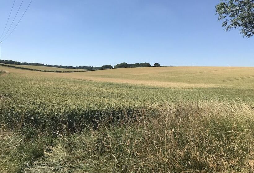 ホテル The Bell At Boxford