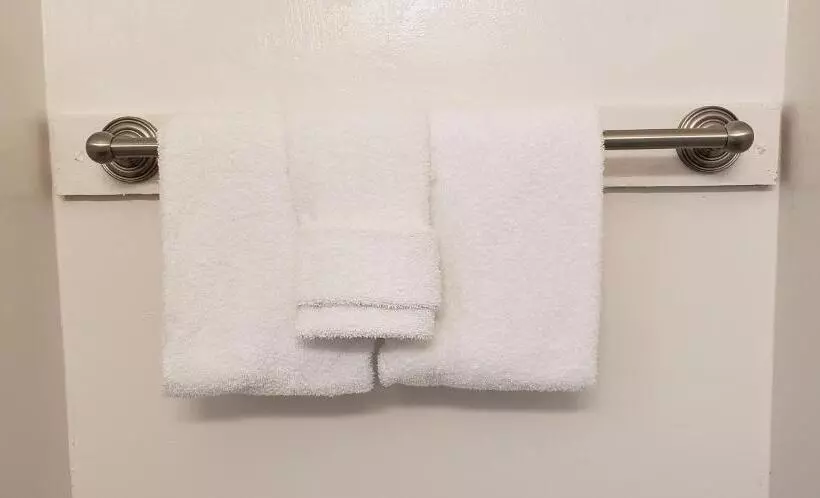 酒店 The Palomar Inn