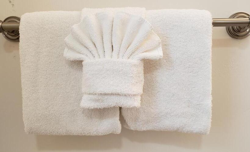 酒店 The Palomar Inn