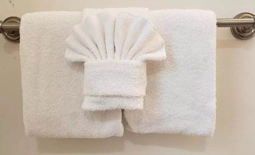 酒店 The Palomar Inn