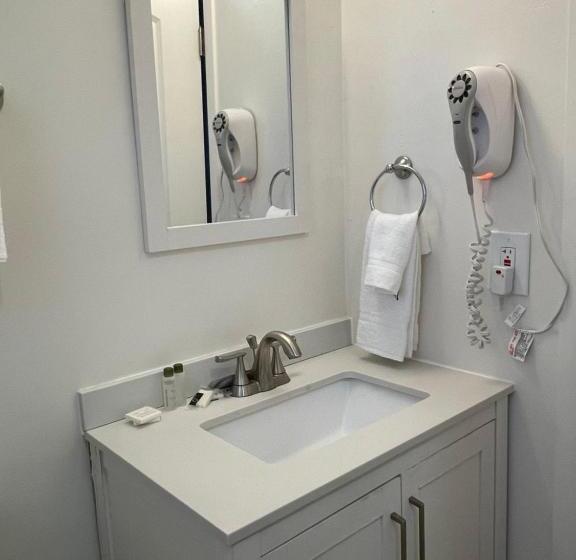 酒店 The Palomar Inn