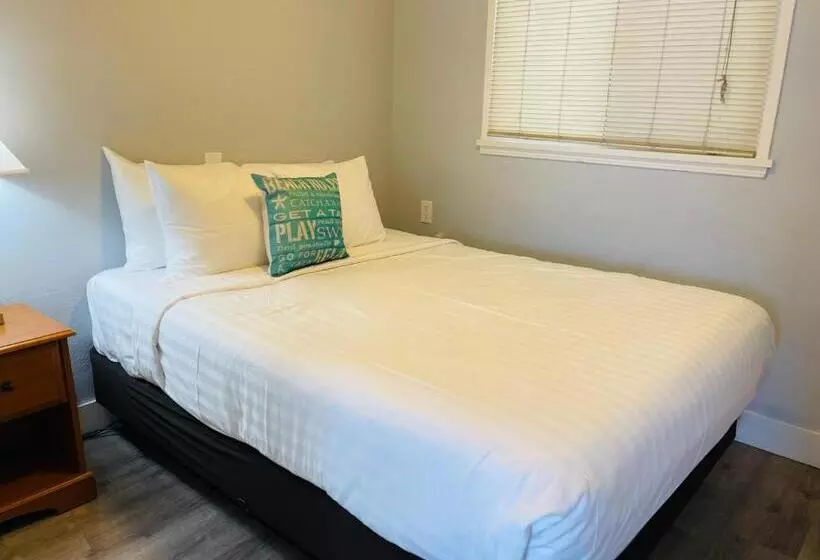 酒店 The Palomar Inn