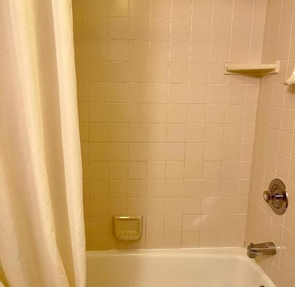 酒店 The Palomar Inn