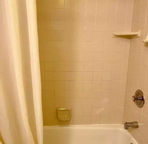 酒店 The Palomar Inn