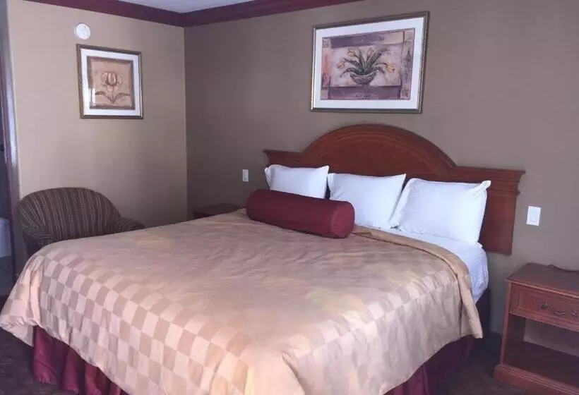 Otel Thunderbird Lodge