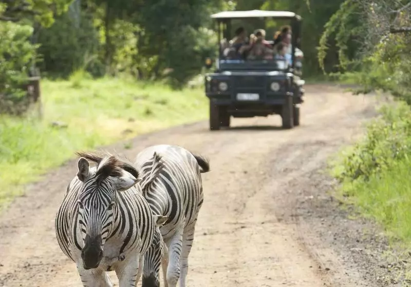 호텔 Ubizane Wildlife Reserve