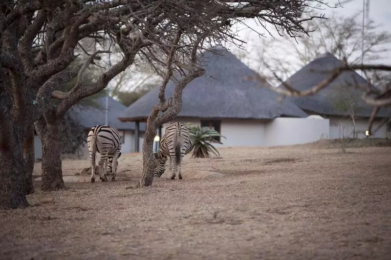 호텔 Ubizane Wildlife Reserve
