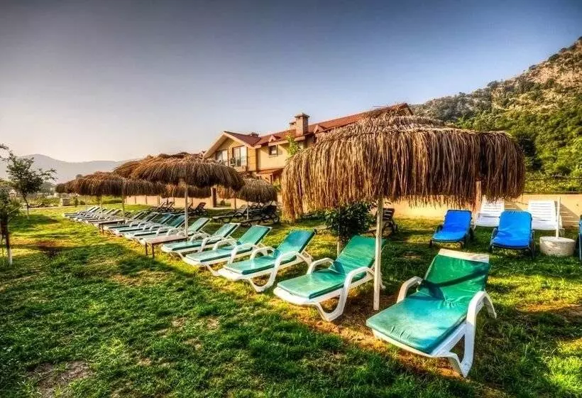 فندق Calypso Plus