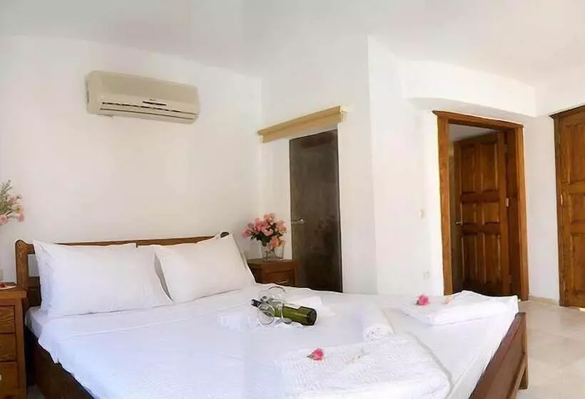 فندق Calypso Plus