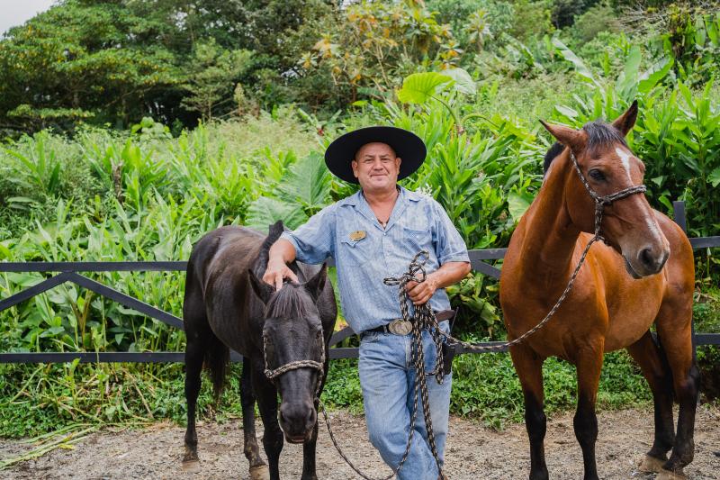 酒店 El Silencio Lodge And Spa