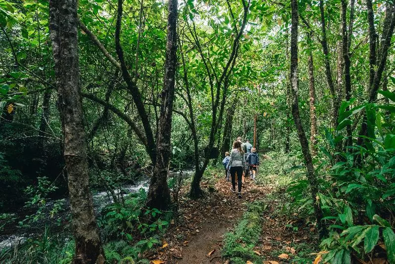 酒店 El Silencio Lodge And Spa