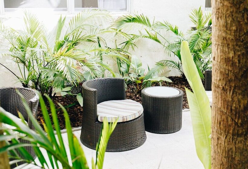 בית מלון כפרי Riviere South Beach