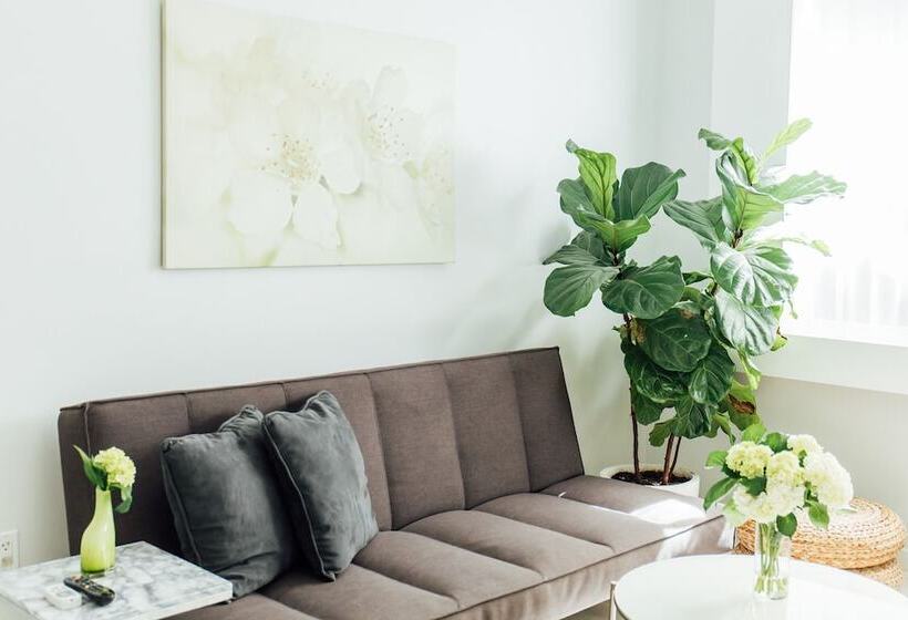 בית מלון כפרי Riviere South Beach