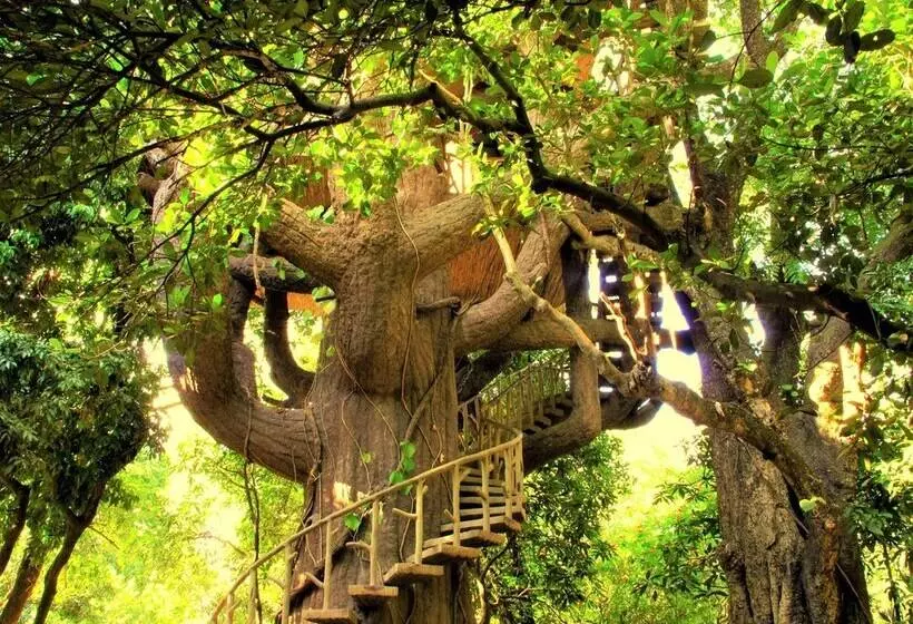 ホテル The Den Corbett Resort