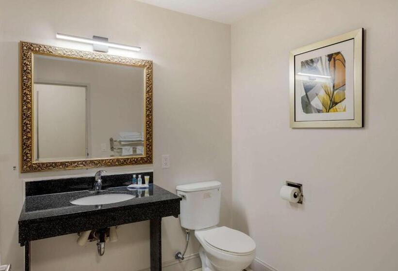 Szálloda Comfort Inn & Suites Mt. Laurelphiladelphia