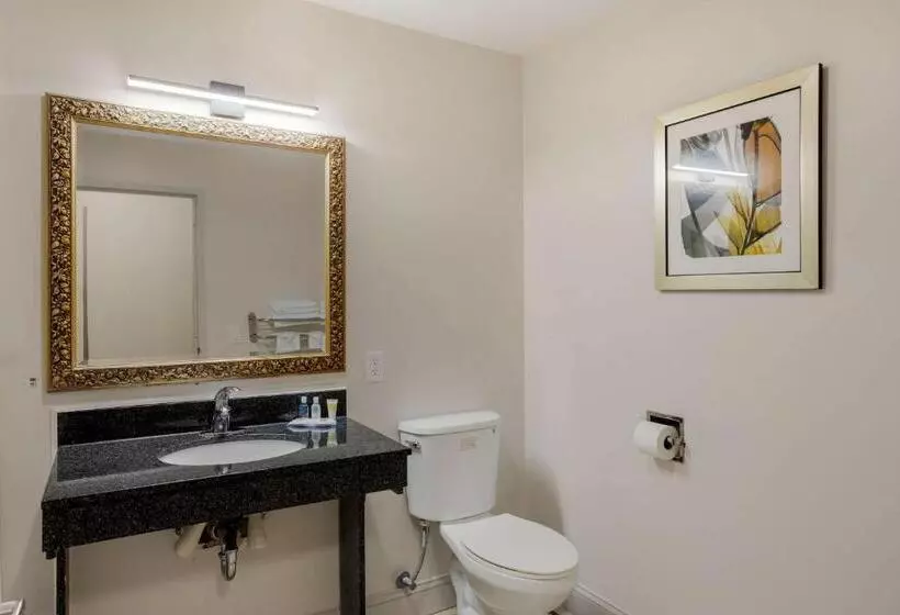 호텔 Comfort Inn & Suites Mt. Laurelphiladelphia