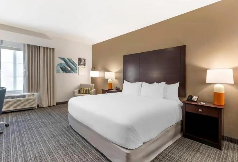 ホテル Comfort Inn & Suites Verona At Turning Stone Resort Casino