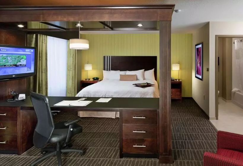 Отель Hampton Inn & Suites Saginaw