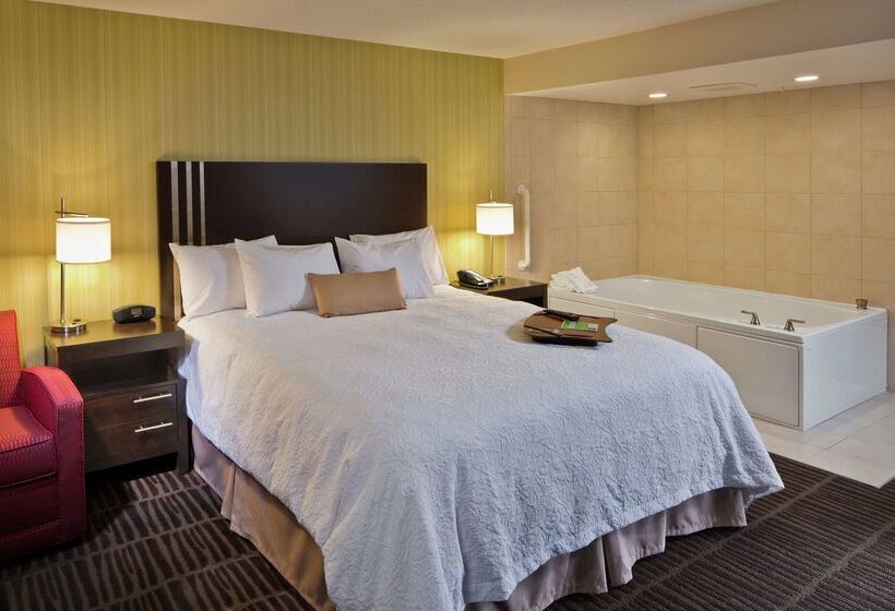 Отель Hampton Inn & Suites Saginaw