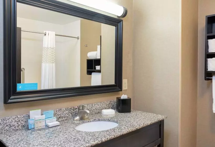 Отель Hampton Inn & Suites Saginaw