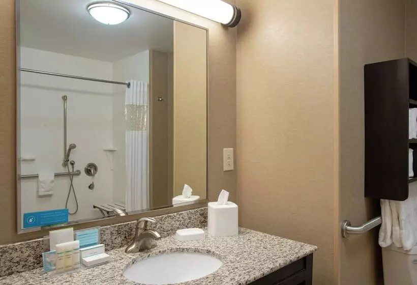 Отель Hampton Inn & Suites Saginaw