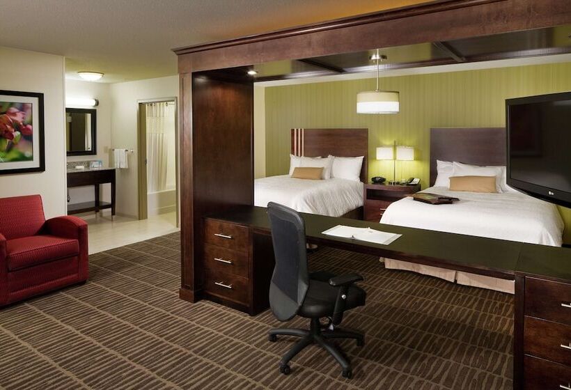 Отель Hampton Inn & Suites Saginaw