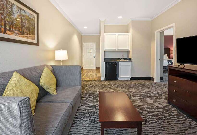 فندق La Quinta By Wyndham Houston   Magnolia