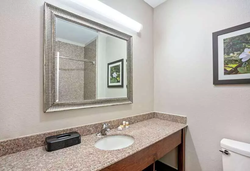 酒店 La Quinta By Wyndham Houston Magnolia