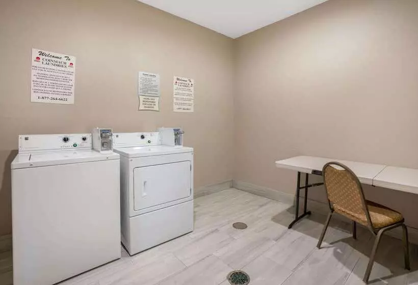 酒店 La Quinta By Wyndham Houston Magnolia