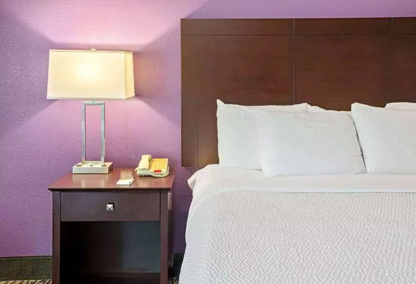 酒店 La Quinta By Wyndham Houston Magnolia