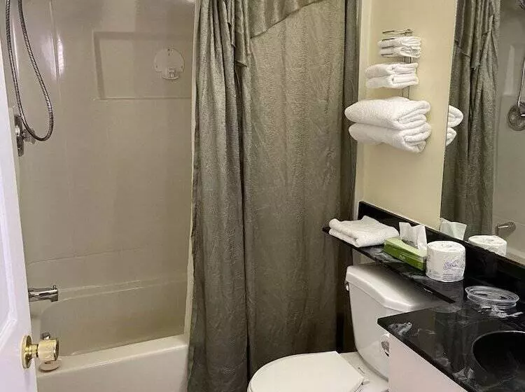 酒店 Lakeshore Suites