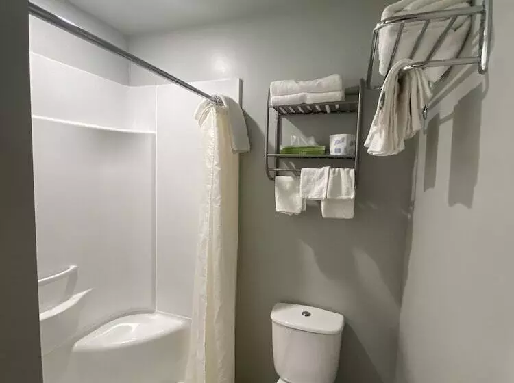 酒店 Lakeshore Suites