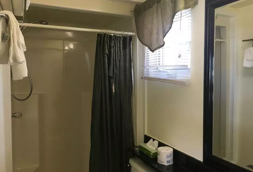 酒店 Lakeshore Suites