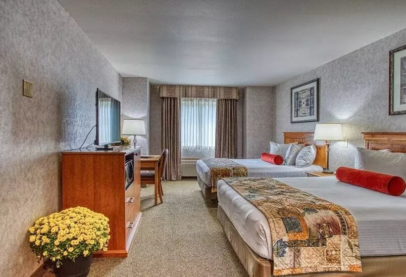 酒店 Rory & Ryan Inn