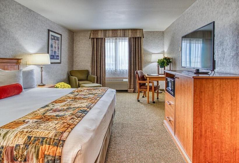 ホテル Rory & Ryan Inn