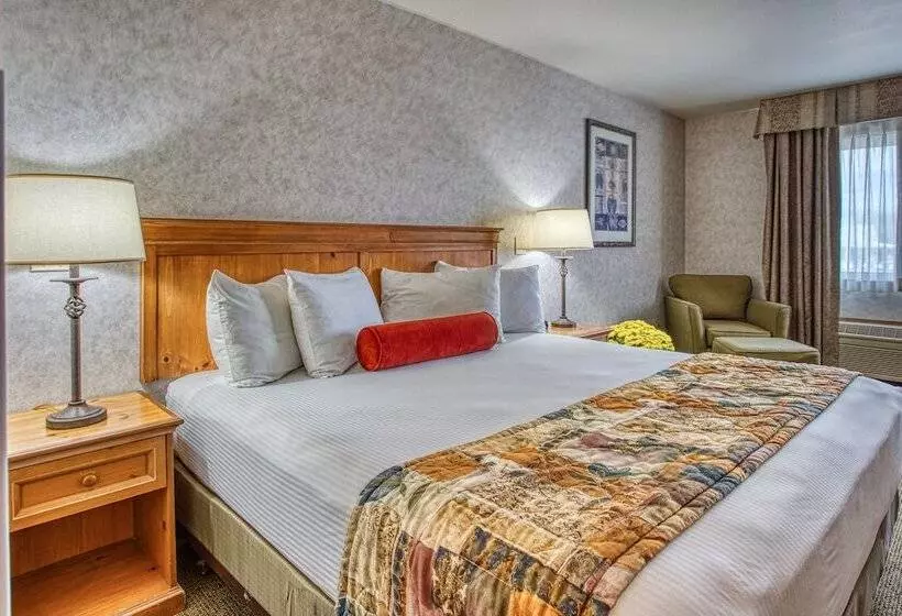 酒店 Rory & Ryan Inn