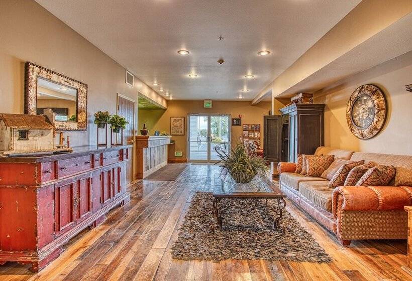 ホテル Rory & Ryan Inn