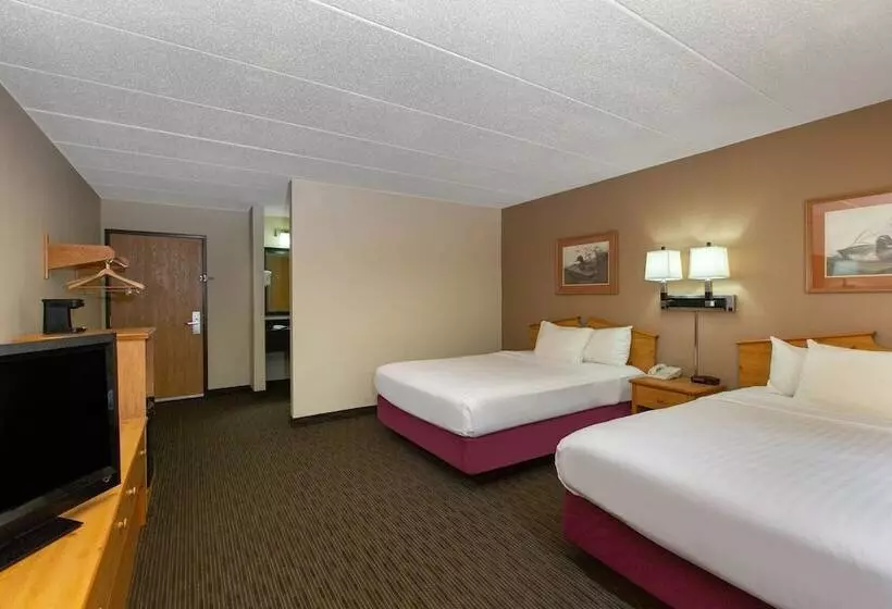 ホテル Quality Inn