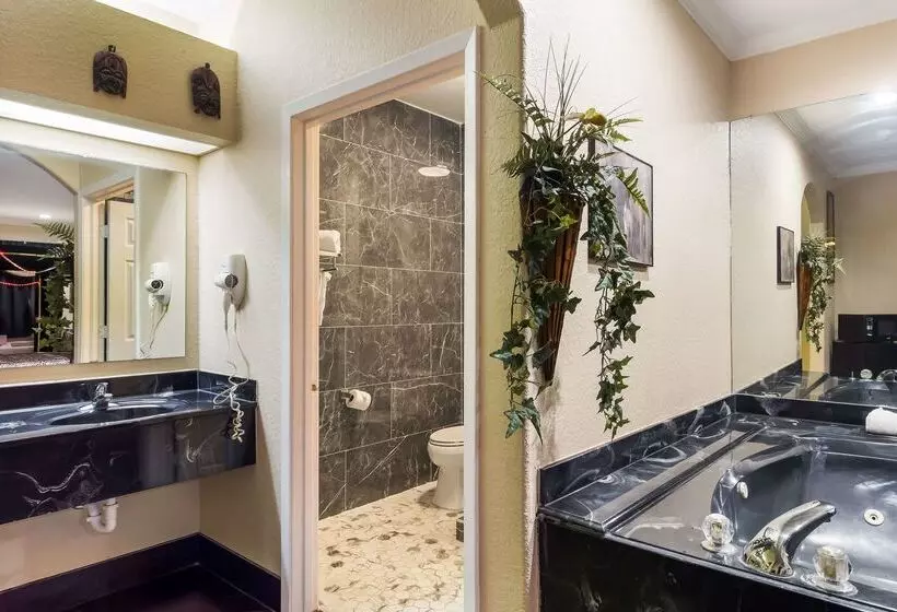 Отель Americas Best Value Platinum Inn & Suites