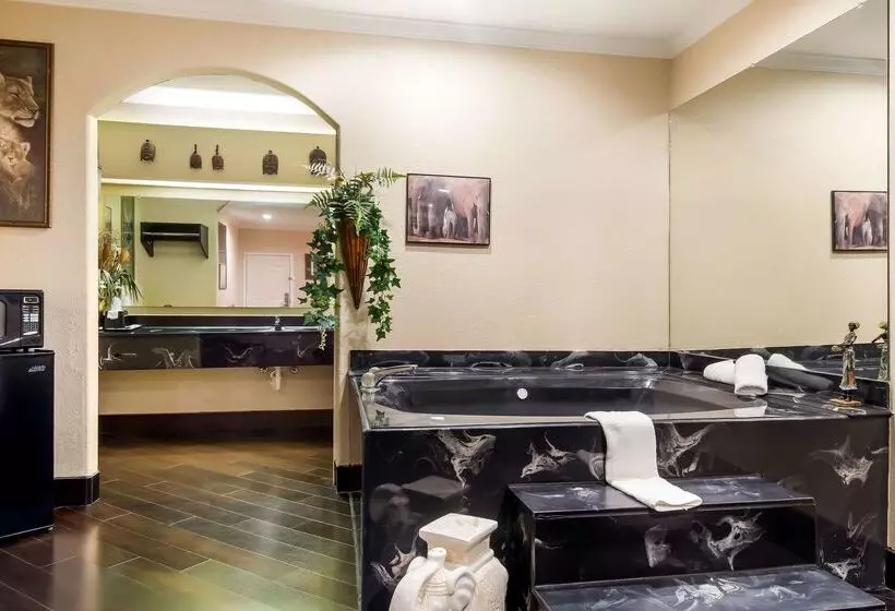 Отель Americas Best Value Platinum Inn & Suites